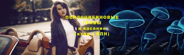 стаф Краснослободск