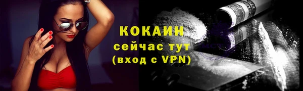 стаф Краснослободск