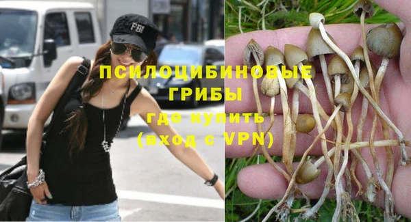 ешки Краснотурьинск