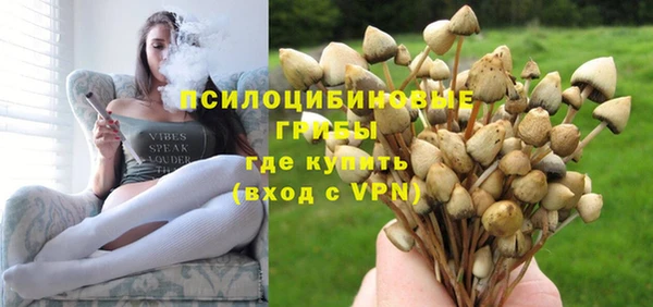 мдпв Куйбышев