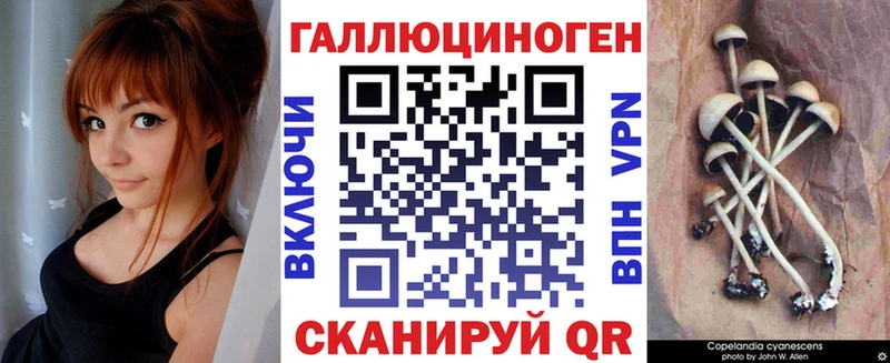 Галлюциногенные грибы мицелий  Мариинский Посад 